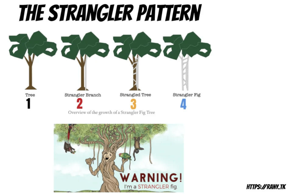 strangler fig pattern